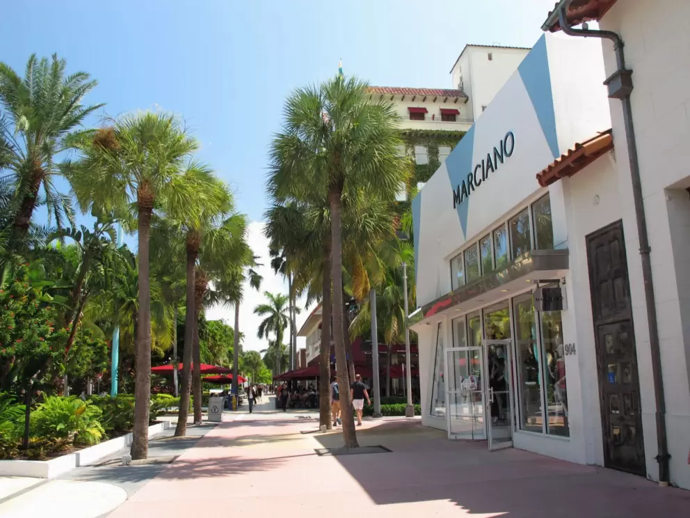 Marciano store and palms.