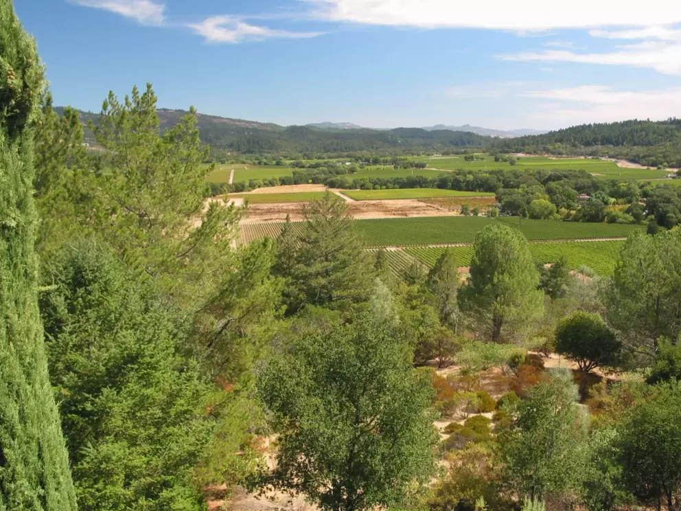View for miles, from the lookout patio.