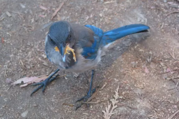 A stunning hike overlooking a white sand beach, bright blue-green waters, and a waterfall falling onto the beach.
