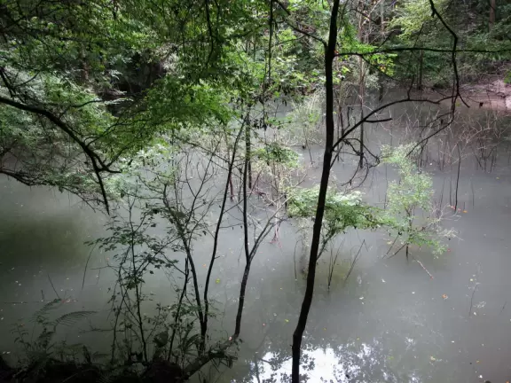 Zigzag to the bottom of a sinkhole covered&nbsp;in lush tropical rainforest.
