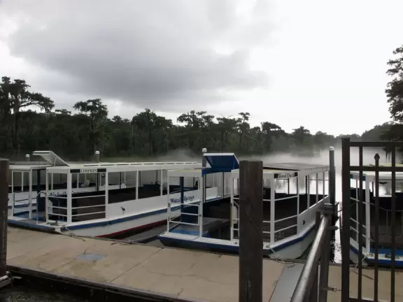 Boats and fog.