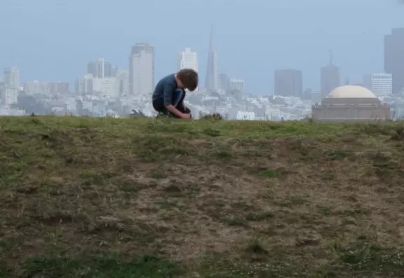 Picnic tables, amphitheater, gift/coffee shop, and wharf, under the Golden Gate Bridge!