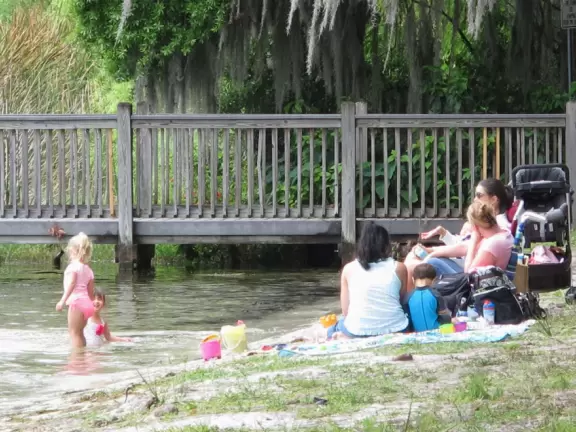 Park with sandy beach on Lake Virginia shaded by huge oak trees hung with Spanish moss.
