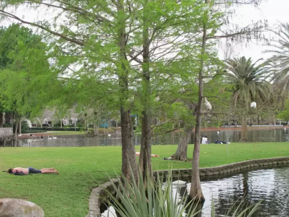 Lake Eola Park, Downtown Orlando