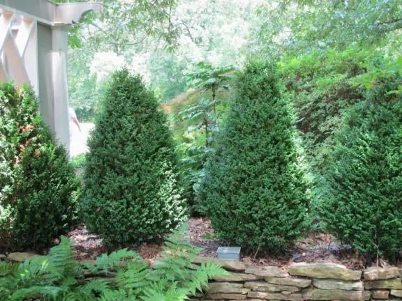 Pleasant large botanical garden with super area for kids.