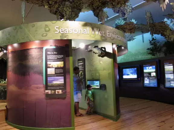 Aquarium tanks, bug to climb inside, boardwalk trail, but ant problem.