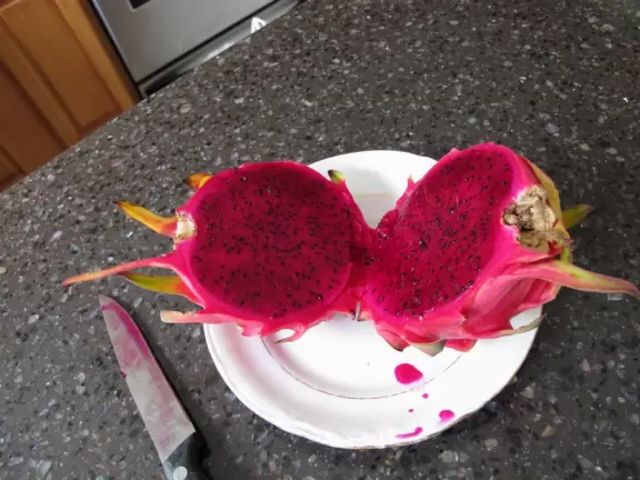 A heaven of tropical fruits, plants, flowers, coconut drinks, and hot foods. Plus the college's world-class cactus garden!