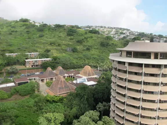 Stroll around the University of Hawaii campus and find some treasures!
