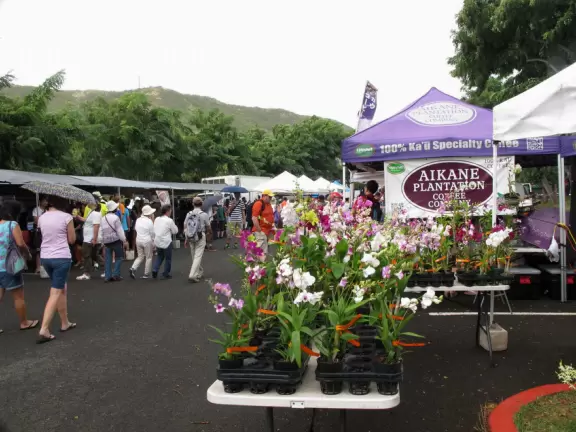 Orchid stand.