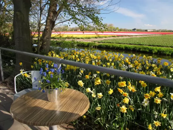 A table overlooking the tulip fields.
