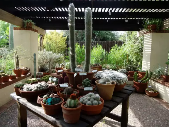 Lovely gardens with many cute areas and unusual plants.