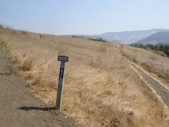 2.2 mile loop hike that leads to other hikes, such as the one to the top of Cerro San Luis mountain.