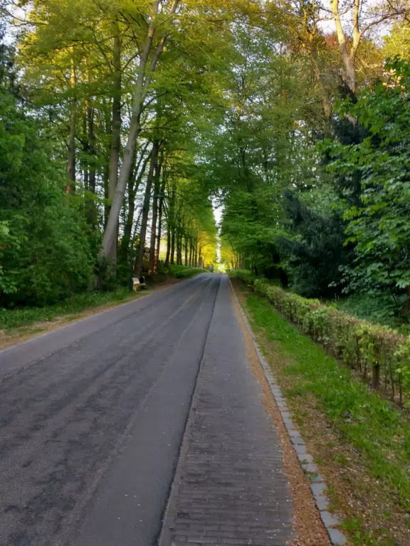 Lovely 14th century castle with a moat, now a restaurant, cafe, and hotel. A great place for a walk!