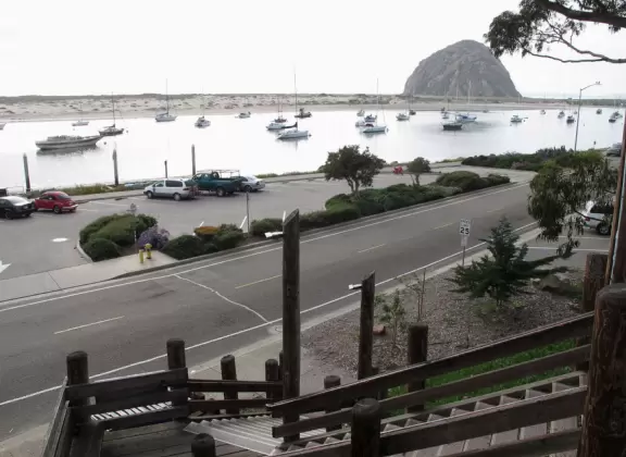 Cement ship playground with logs to climb, seal, dolphin, whale's tail and giant octopus sculptures, picnic tables, and an amazing view of Morro Rock and the inlet.
