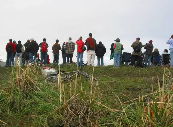Onlookers check out the 2008 Surf Contest from the cliffs, in the early morning.