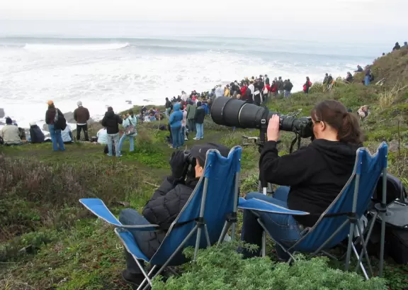 Wow! These people are serious about their close-up shots!