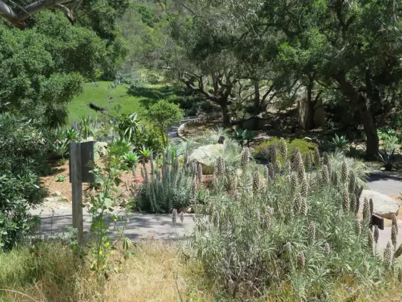 San Ysidro Trail, Montecito