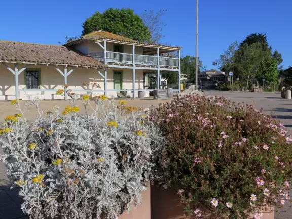 Flowers and the Custom House.