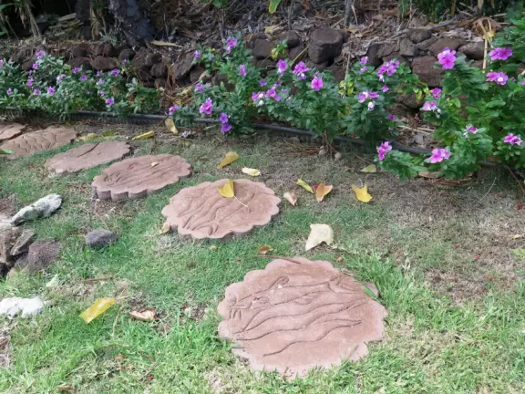 Tropical garden with short trails and ocean views.
