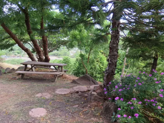 Tropical garden with short trails and ocean views.