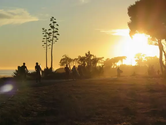 Surfers on bikes riding into a misty sunset.