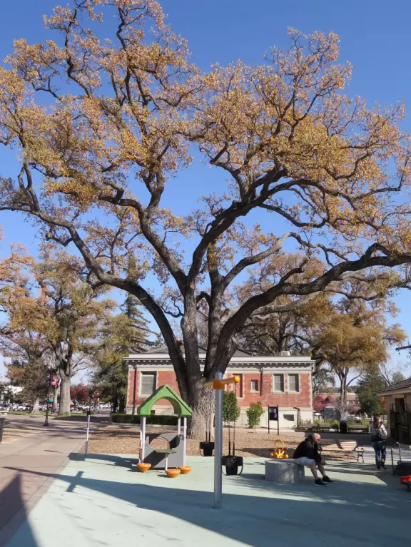 Downtown City Park Playground, Paso Robles