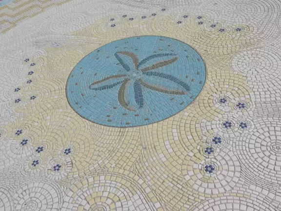 Things feel open and expansive under the skyhigh palms at West Beach boardwalk!