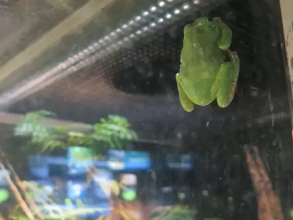 Huge two-building aquarium with gorgeous tanks!