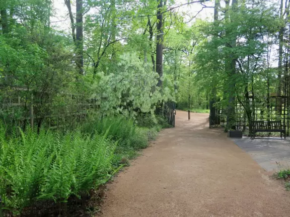 NC Botanical Garden, Chapel Hill