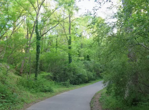 Bolin Creek Greenway, Chapel Hill