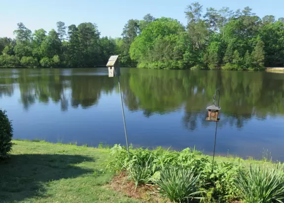 Inspiring walking path on Beaver Creak Lake.