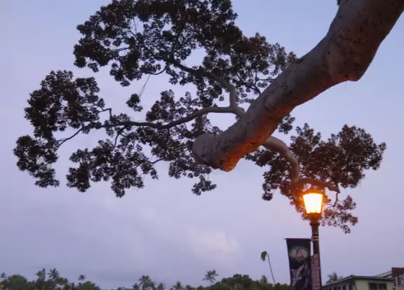 Lovely main street Alii Drive along the crystal clear ocean, backed by high mountains, with historic buildings, oceanfront cafes, and touristy shops.