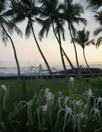 Lovely main street Alii Drive along the crystal clear ocean, backed by high mountains, with historic buildings, oceanfront cafes, and touristy shops.