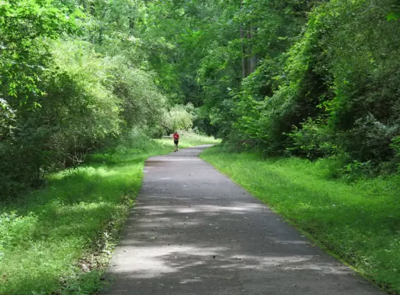 Peaceful greenway with flowers and almost tropical vegetation, that takes you to a lake!