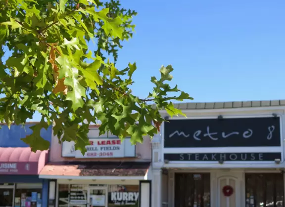 Ninth Street is a typical ugly strip of stores, but brought to life by the amazing young people who created these businesses.