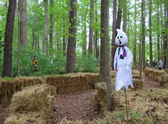 Amazing museum and grounds with so much for kids to do!