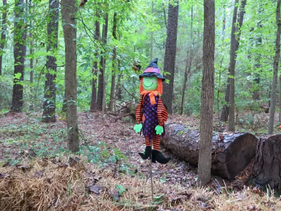 Amazing museum and grounds with so much for kids to do!