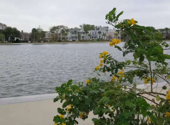 Small cute lake with walking/running promenade around it.