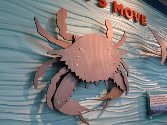 Move the crab's legs!