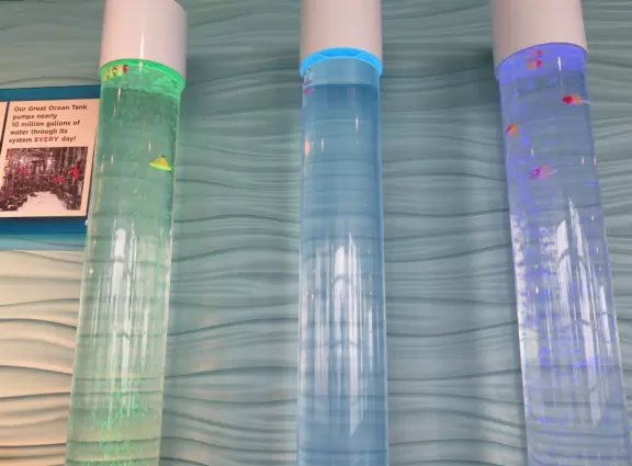 Excellent, but expensive, aquarium.