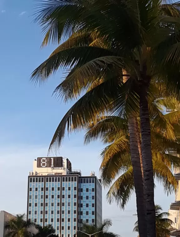 Winter day in Miami...