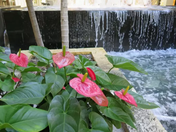 Ultra rich outdoor mall with gorgeous plants, fountains, sculptures, and flowers.