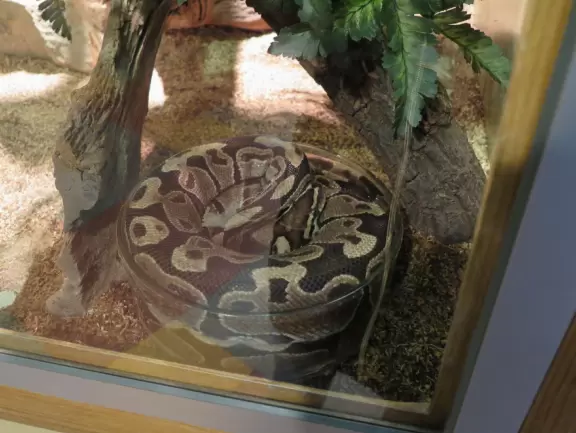 Unique and wonderful science center. Kids adore it!