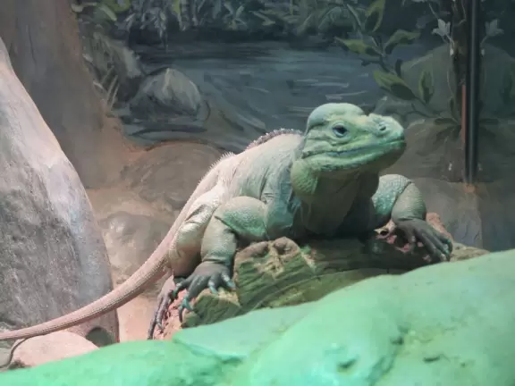 Unique and wonderful science center. Kids adore it!