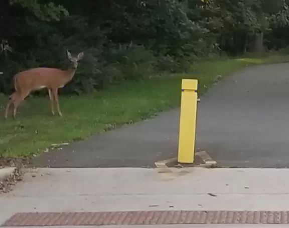 Large shady playground with two cool spinners, beach volleyball court, basketball court, and long bike path along a beautiful creek.