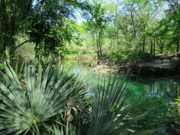 Paradise! A natural spring in the shape of a round pool, leading to a sandy river beach.
