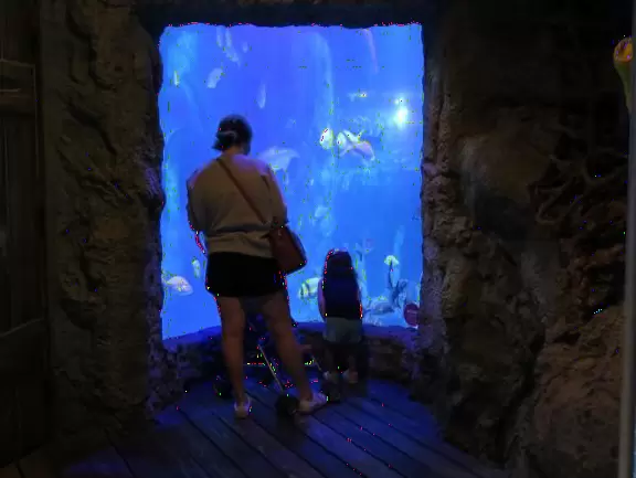Good tanks and colorful lighting, but annoying music.