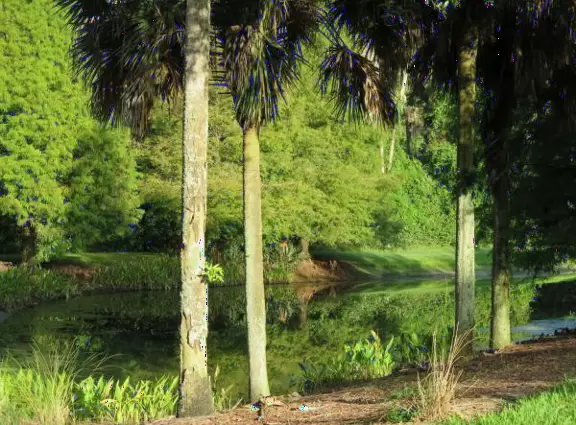 A wonderful running/walking path leads through jungly vegetation around three lakes.
