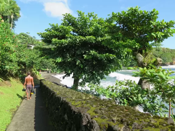Honoli'i (Honolii) Beach Park has a beautiful headland, tropical vegetation, and a popular surfbreak.