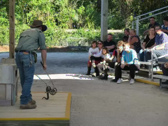 Snake handling during the Upclose Encounters show.